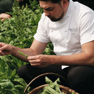 Le Manoir chef collecting produce