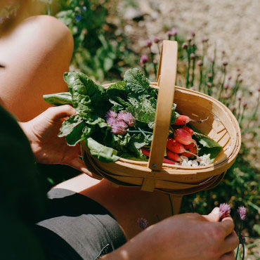 A basket of radish's for Le Manoir