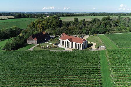 Image of a vineyard in southhampton
