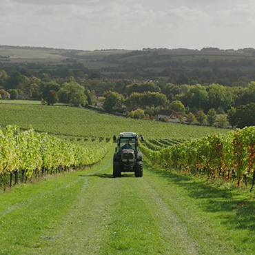 Tractor driving through vineyards