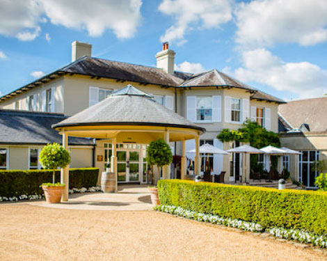 The Vineyard