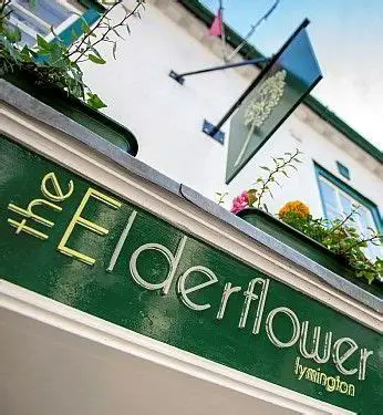 The Elderflower
