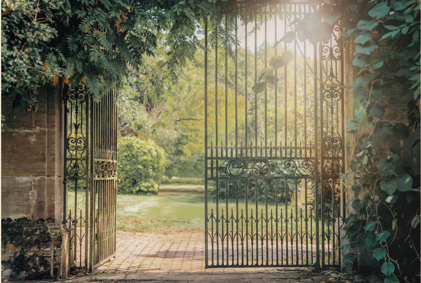 Tour of Gardens and Lunch at Cordia Collective